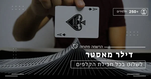 דילר מאסטר