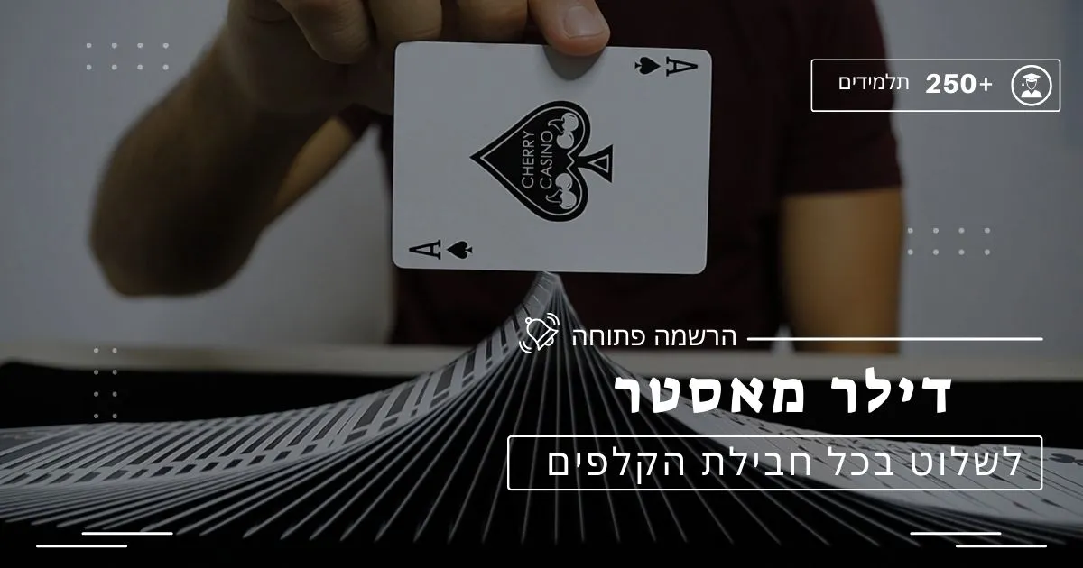 דילר מאסטר